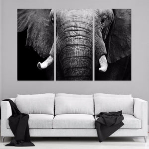 Canvas - Elephant's Face Canvas