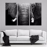 Elephant's Wisdom Canvas
