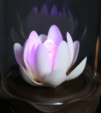 White Lotus In a Glass LED Incense Burner