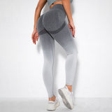 Seamless Ombre Fitness Leggings