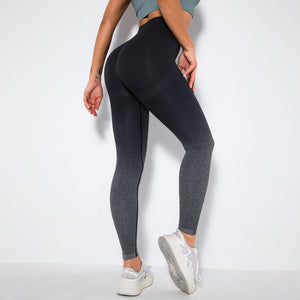 Seamless Ombre Fitness Leggings