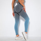 Seamless Ombre Fitness Leggings