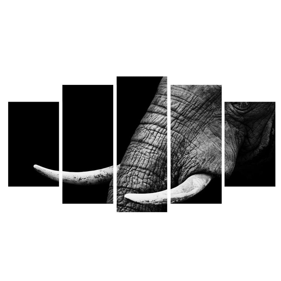 Canvas - Elegant Elephant Canvas
