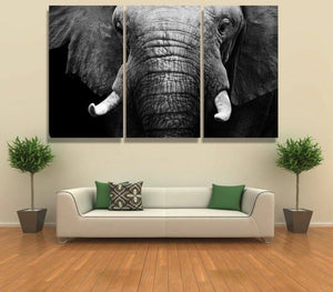 Canvas - Elephant's Face Canvas