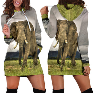 Elephant Hoodie Dress