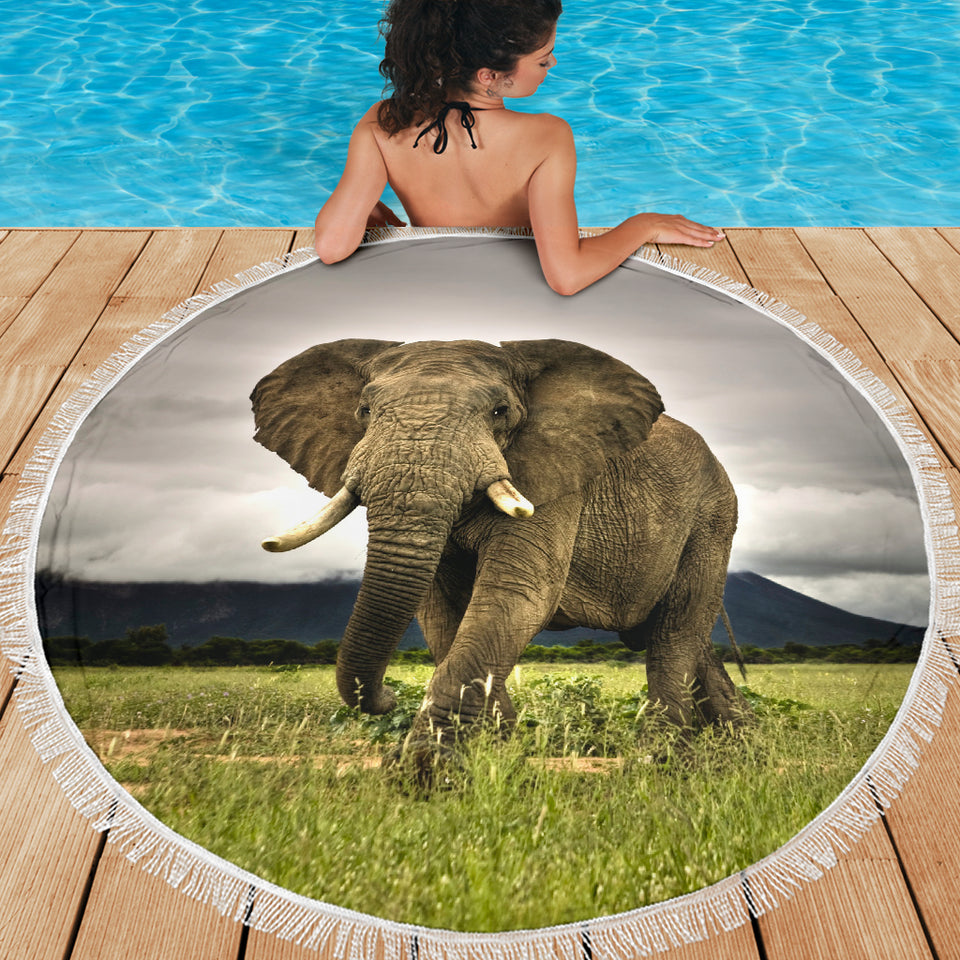 Majestic Elephant Beach Blanket