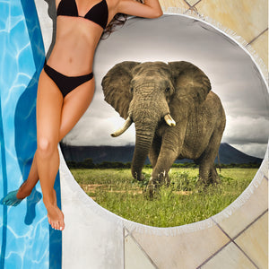 Majestic Elephant Beach Blanket