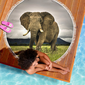 Majestic Elephant Beach Blanket